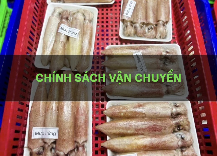 Chính sách vận chuyển