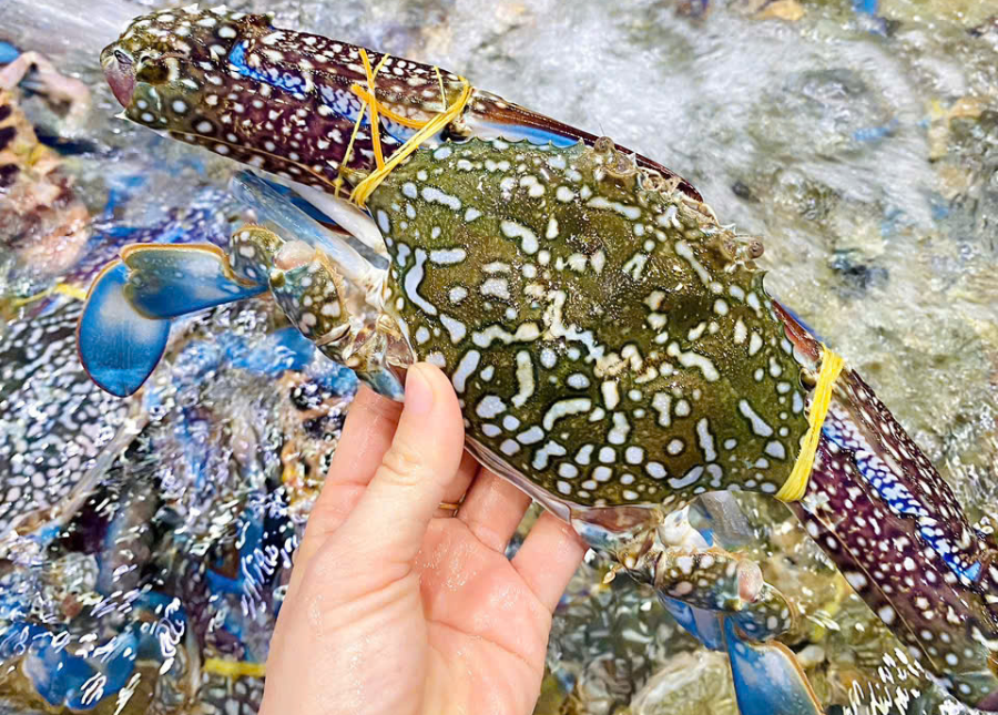 Sơ Chế Chấm Mút, Món Ngon Đậm Vị Với Ghẹ Xanh