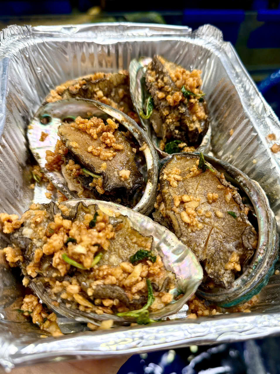 Bào Ngư Hàn Quốc Sống