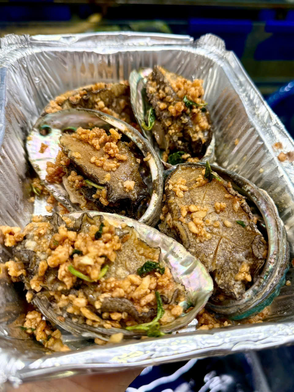 Bào Ngư Hàn Quốc Sống