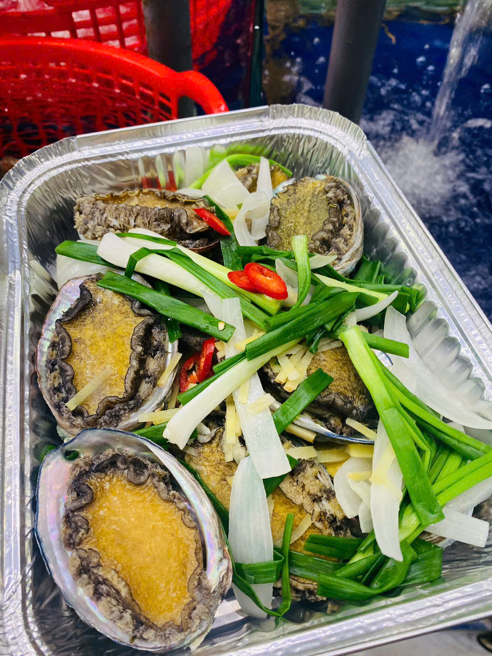 Bào Ngư Hàn Quốc Sống