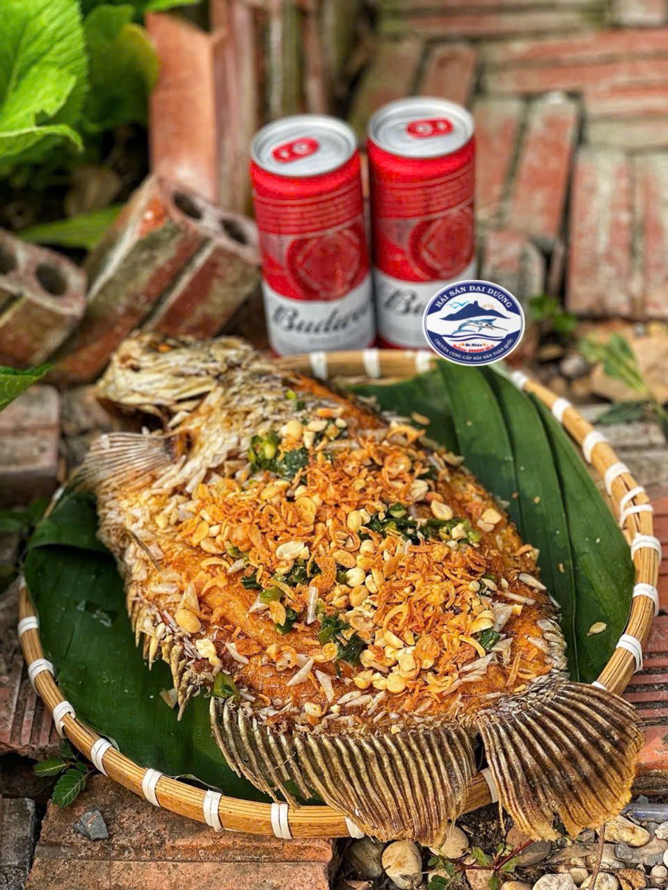 Cá Tai Tượng 1,3 - 5kg