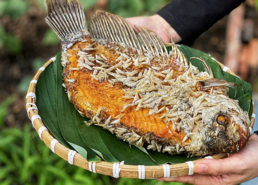 Cá Tai Tượng 1,3 - 5kg