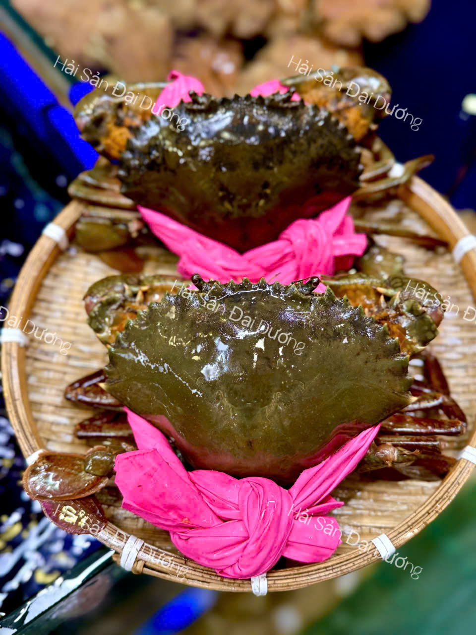 Cua Cà Mau - cua gạch lớn