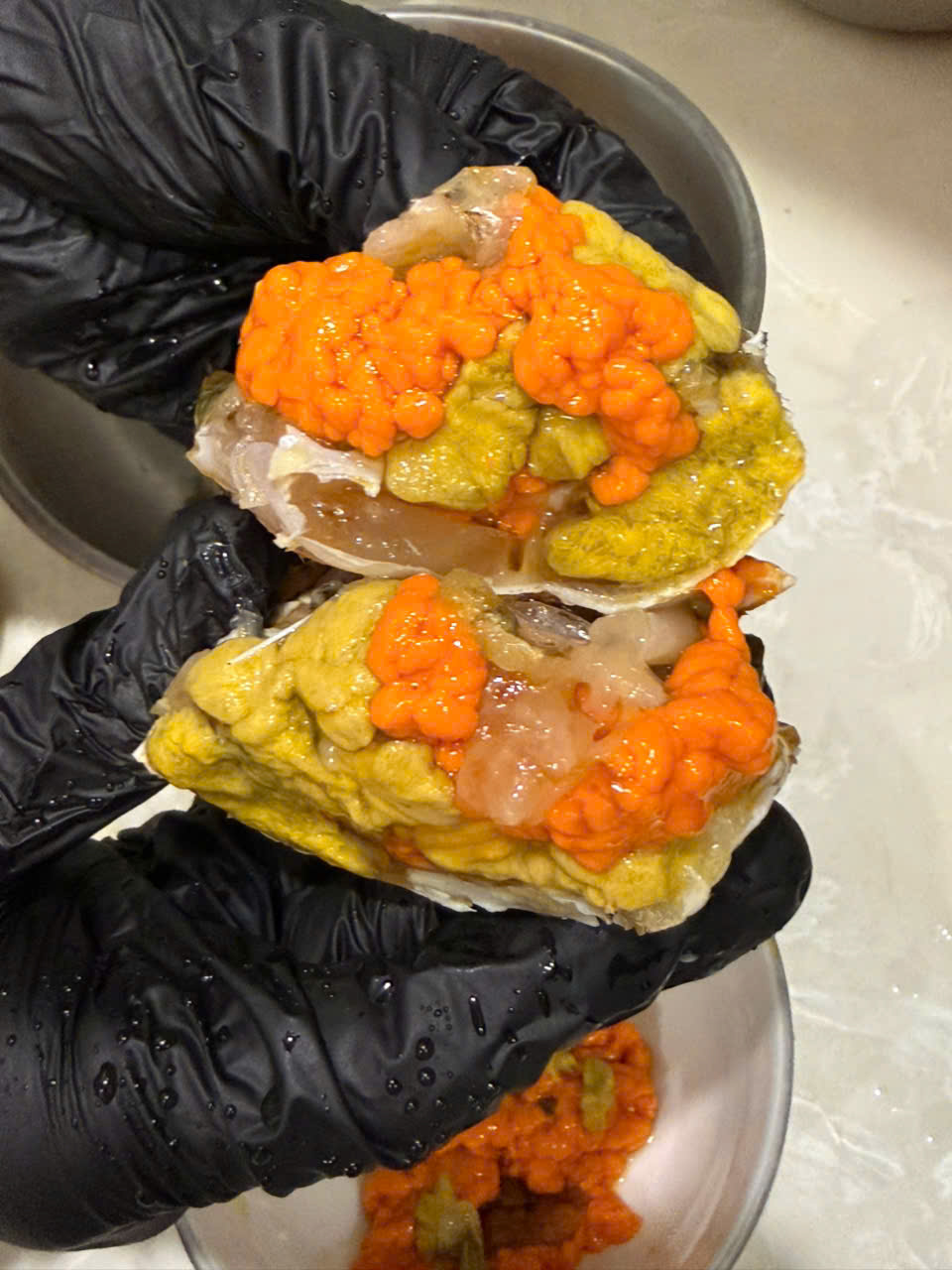 Cua Cà Mau - cua gạch lớn