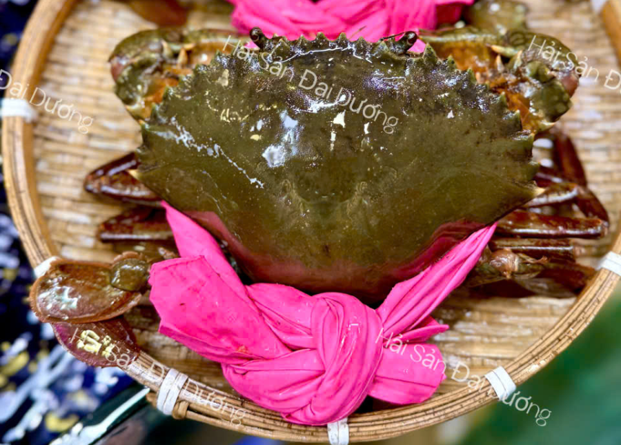 Cua Cà Mau - cua gạch lớn