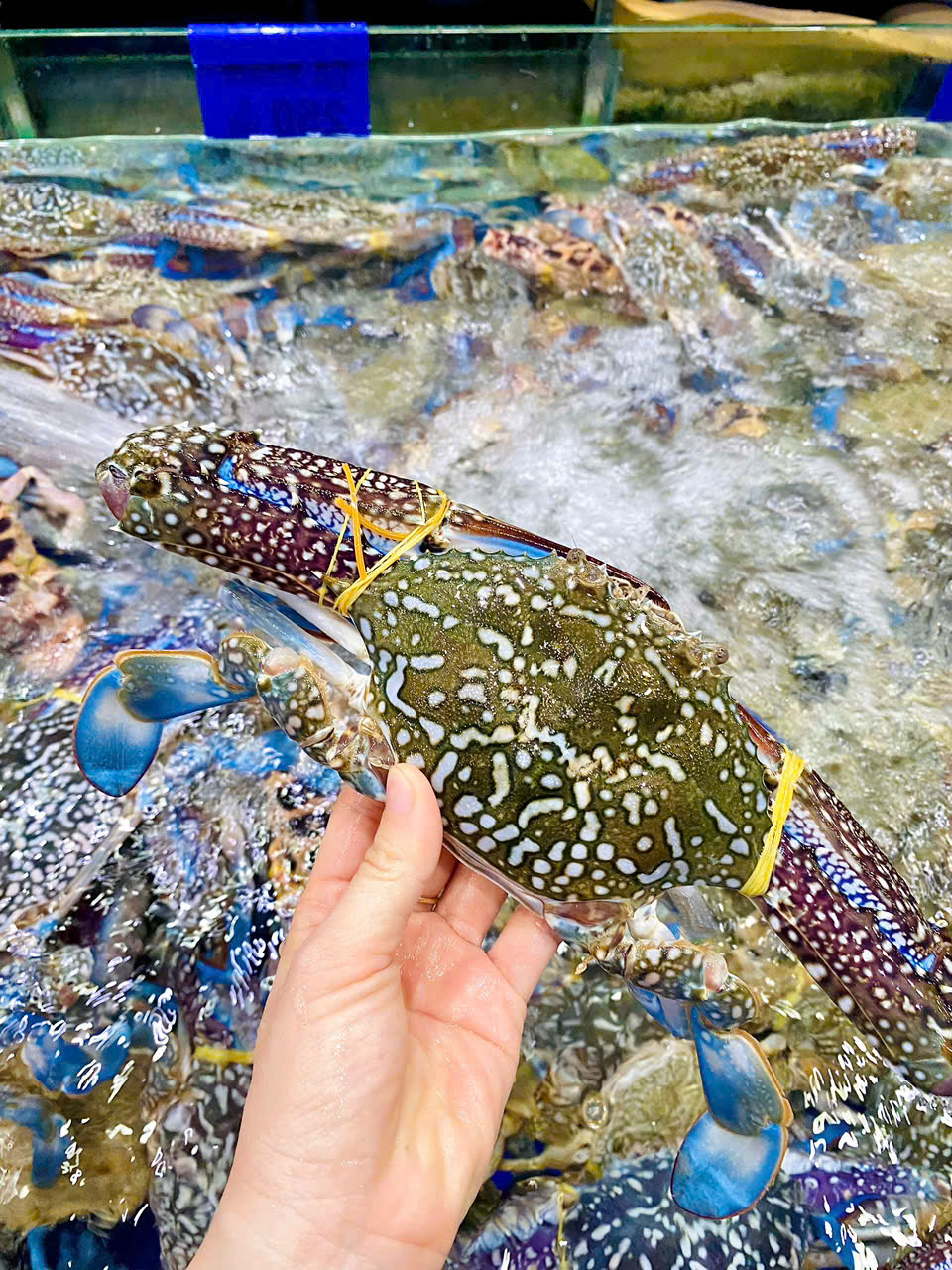 Ghẹ xanh Size 3-4 con 1kg