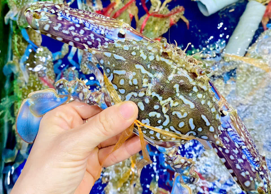 Ghẹ xanh Size 3-4 con 1kg