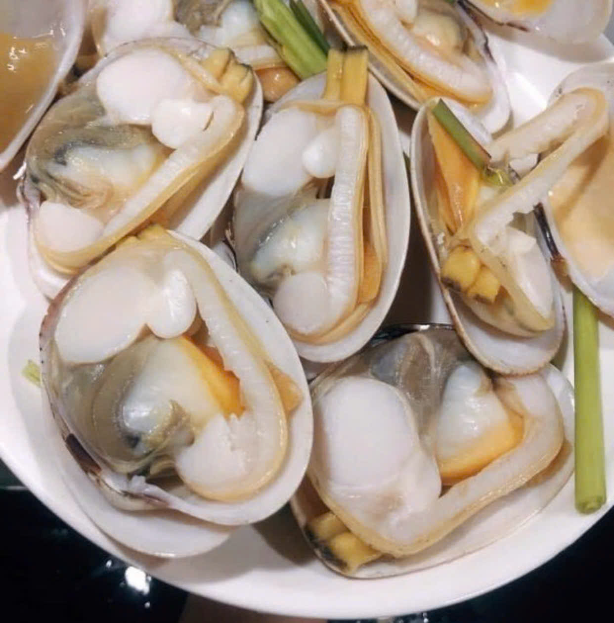 Ngao 2 Còi Thiên Nhiên Size 25-28