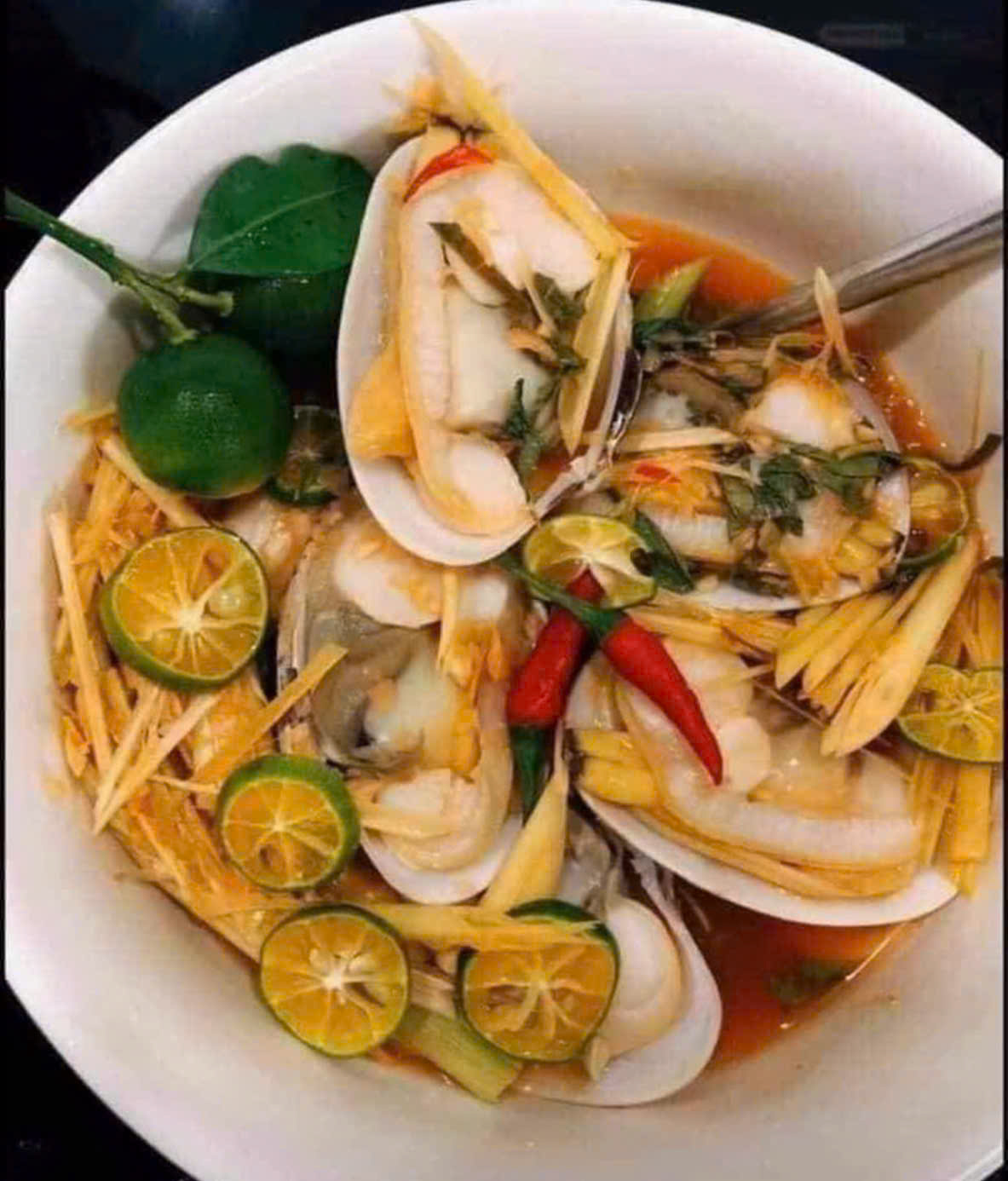 Ngao 2 Còi Thiên Nhiên Size 25-28