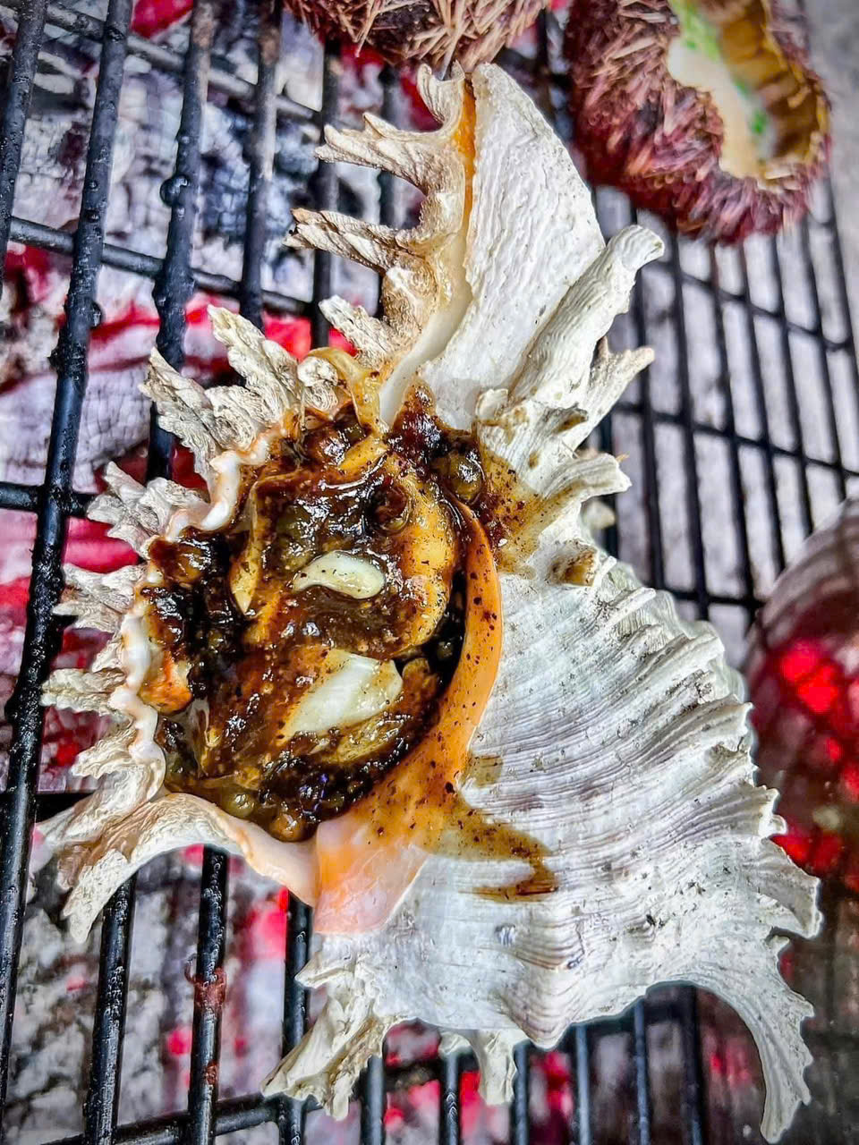 Ốc Gai 600gr-1kg 1 con