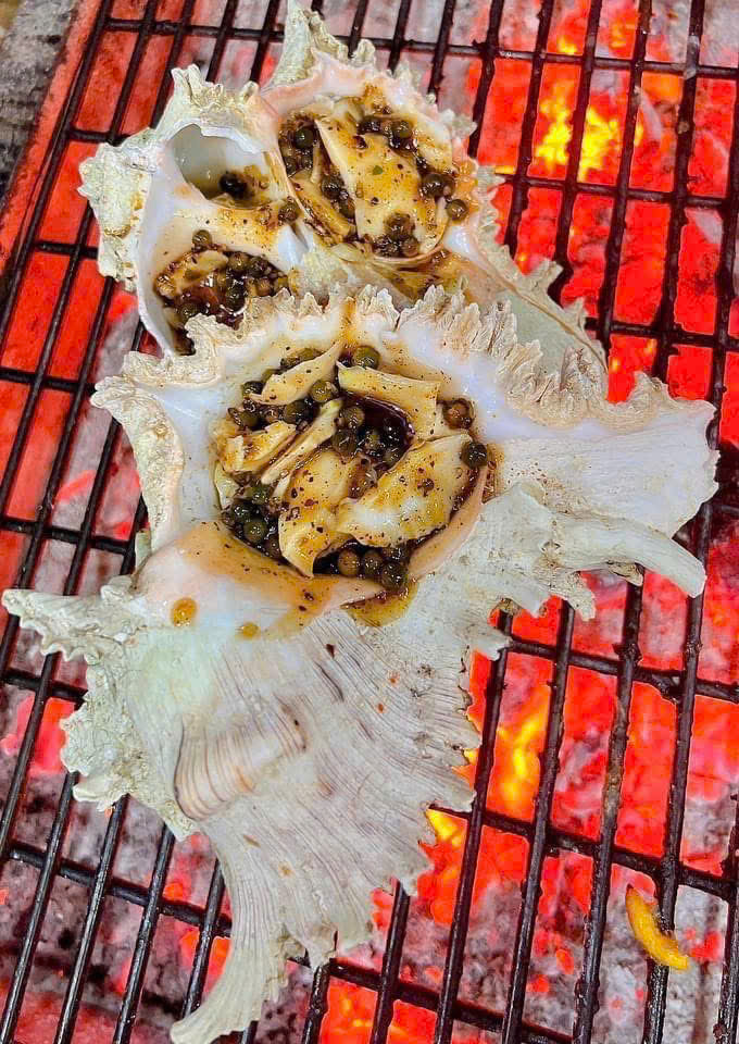 Ốc Gai 600gr-1kg 1 con