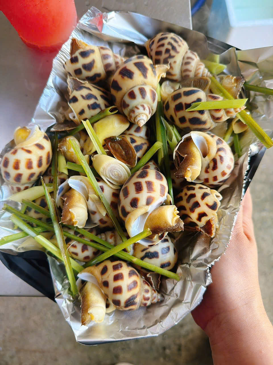 Ốc Hương Thiên Nhiên size 60-70