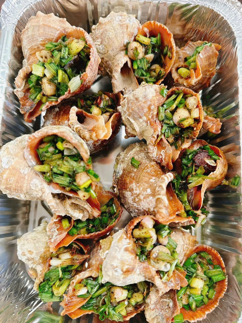 Ốc Miệng Rộng Lớn