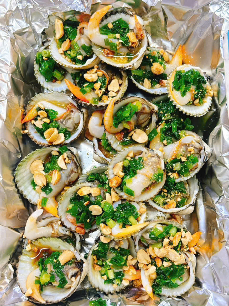 Sò Dương Xanh Size 18-20