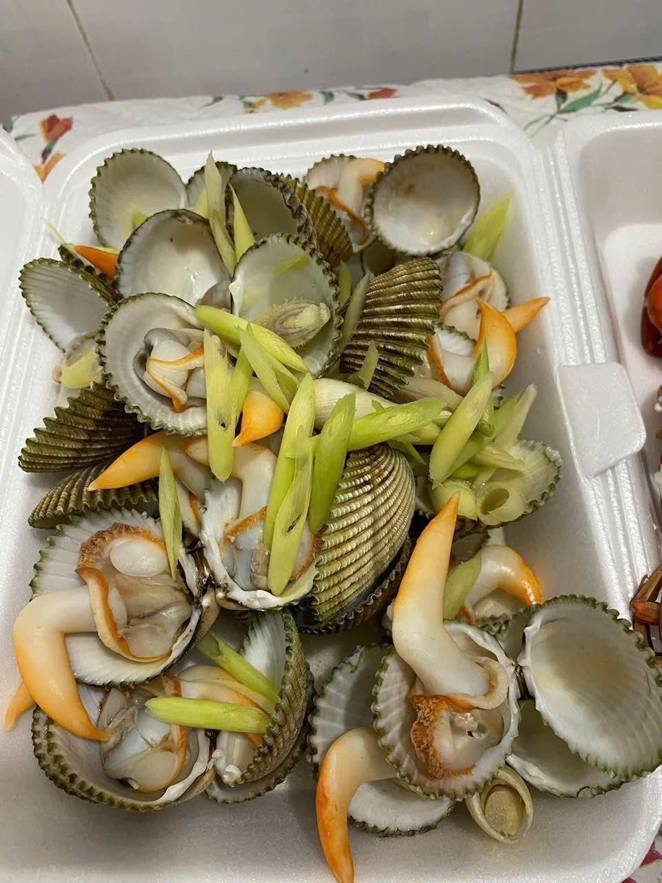 Sò Dương Xanh Size 18-20