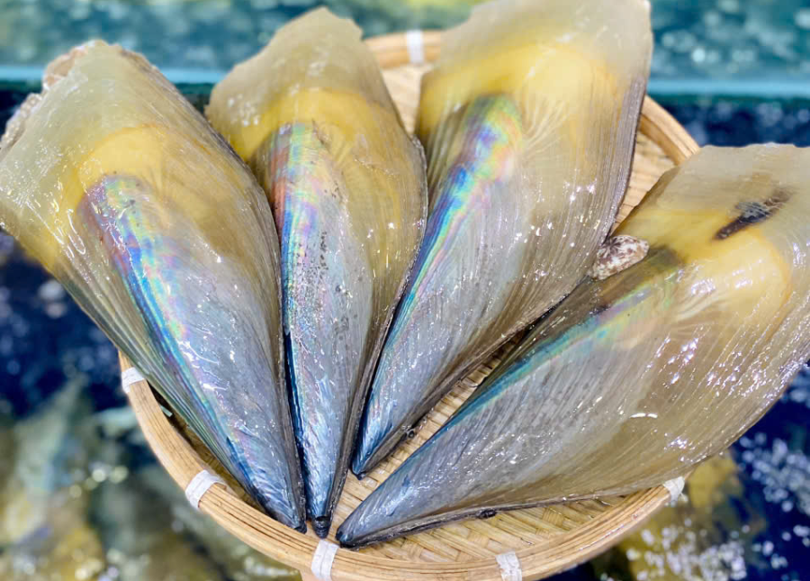 Sò Mai Vàng (giá 1 con)