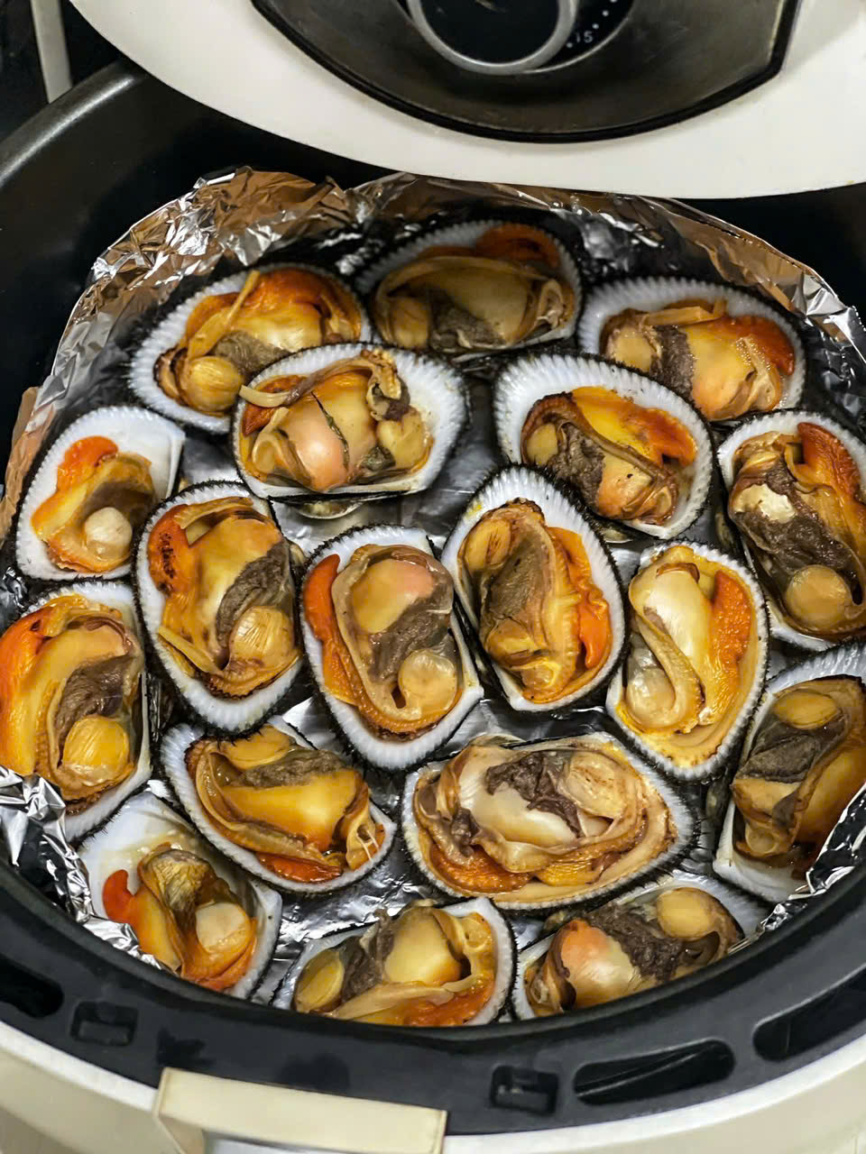 Sò Nhung Lông Cồ Size 14-16