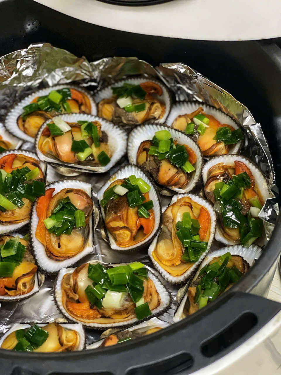 Sò Nhung Lông Cồ Size 14-16