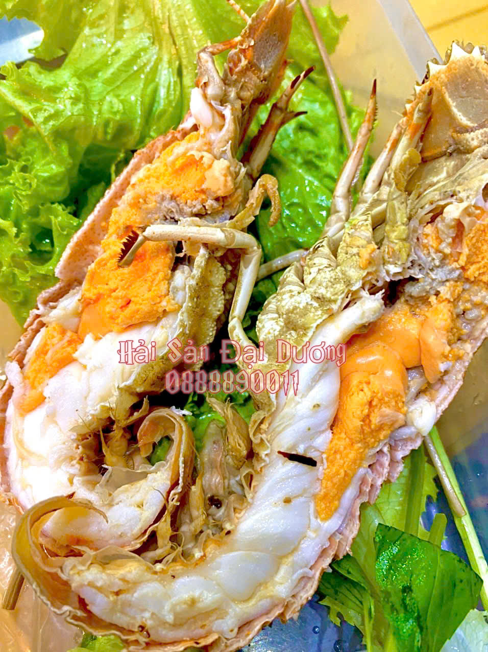 Tôm Mũ Ni 8-10 con 1kg