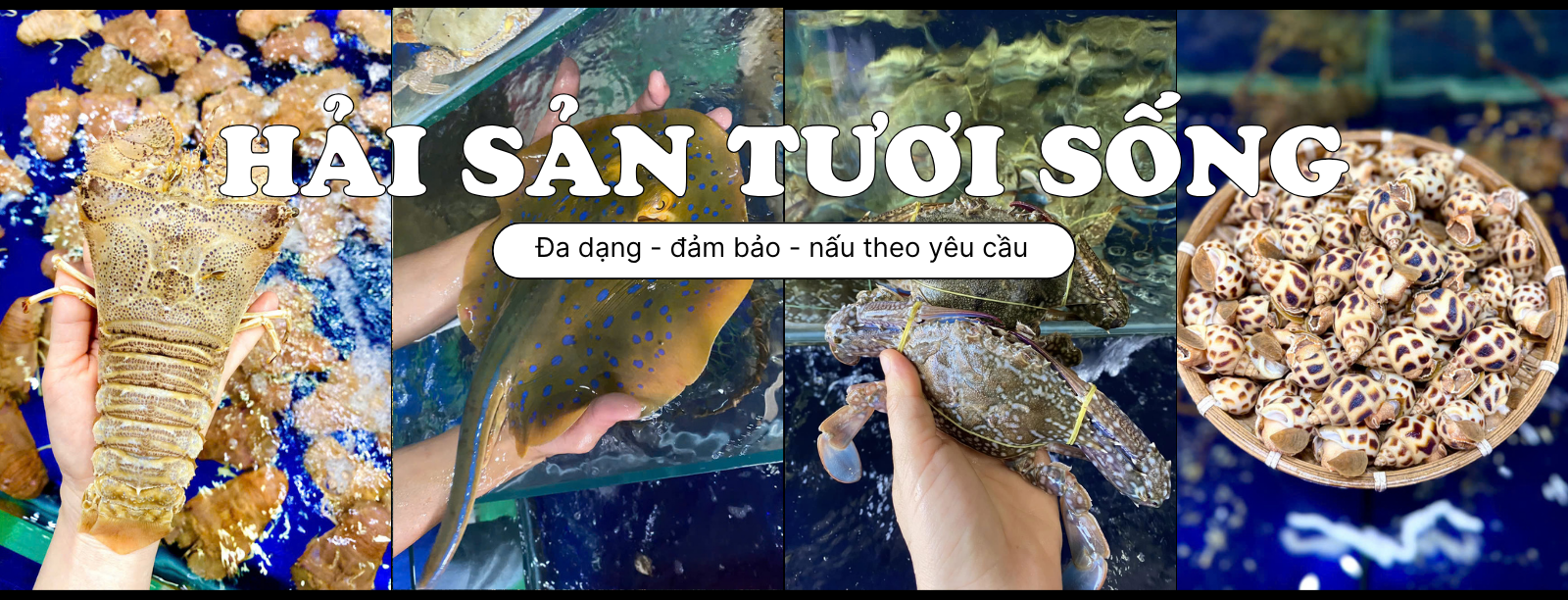 Hải sản thiên nhiên tươi sống